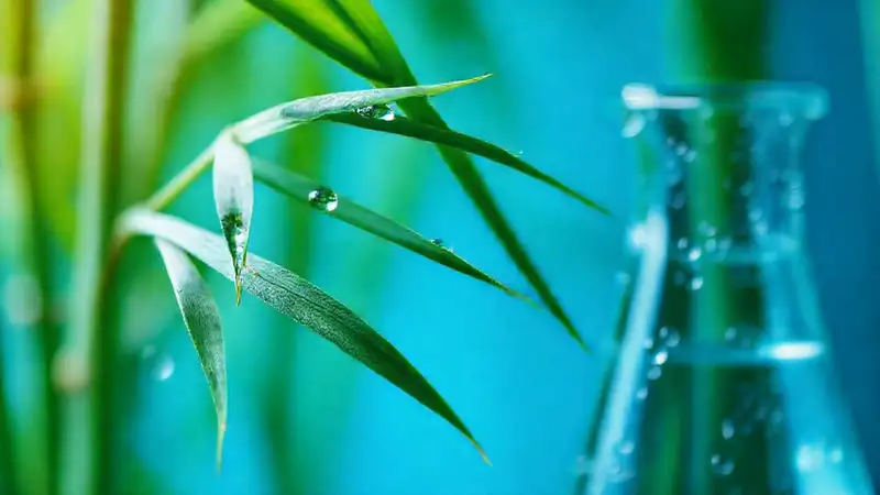 Filamento de bambú científico, agua clara