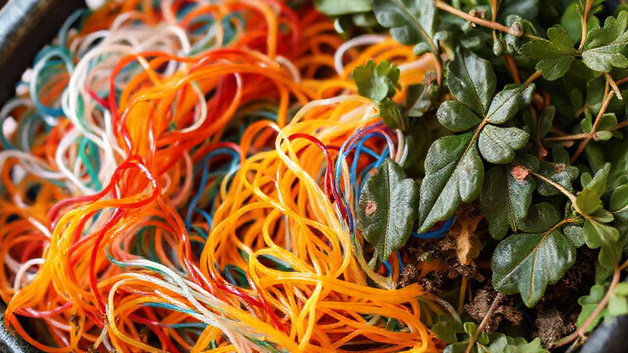 Plásticos reciclados crean un futuro sostenible